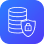 data security controls