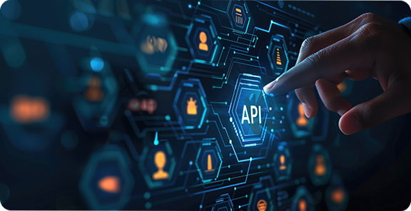 API & System Integrations