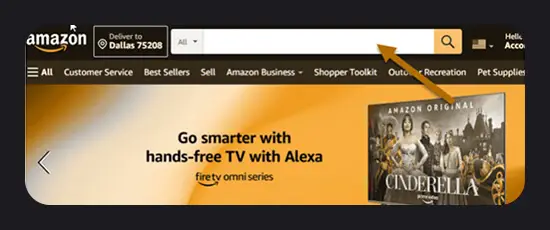 Searching From Amazon Search Bar