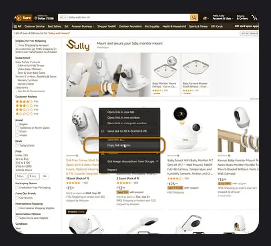 Searching From Amazon Search Bar